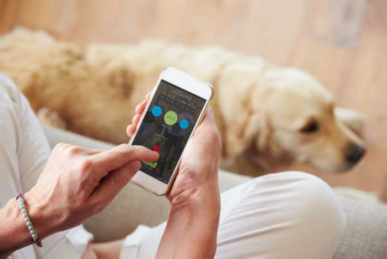 contactconsumers-marketing-to-pet-owners